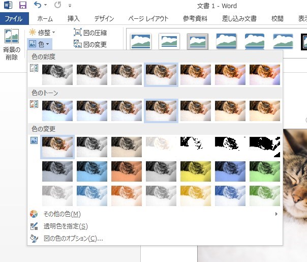 Wordで写真をセピア色に